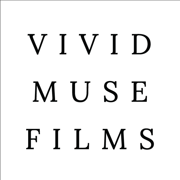 Vivid Muse Films