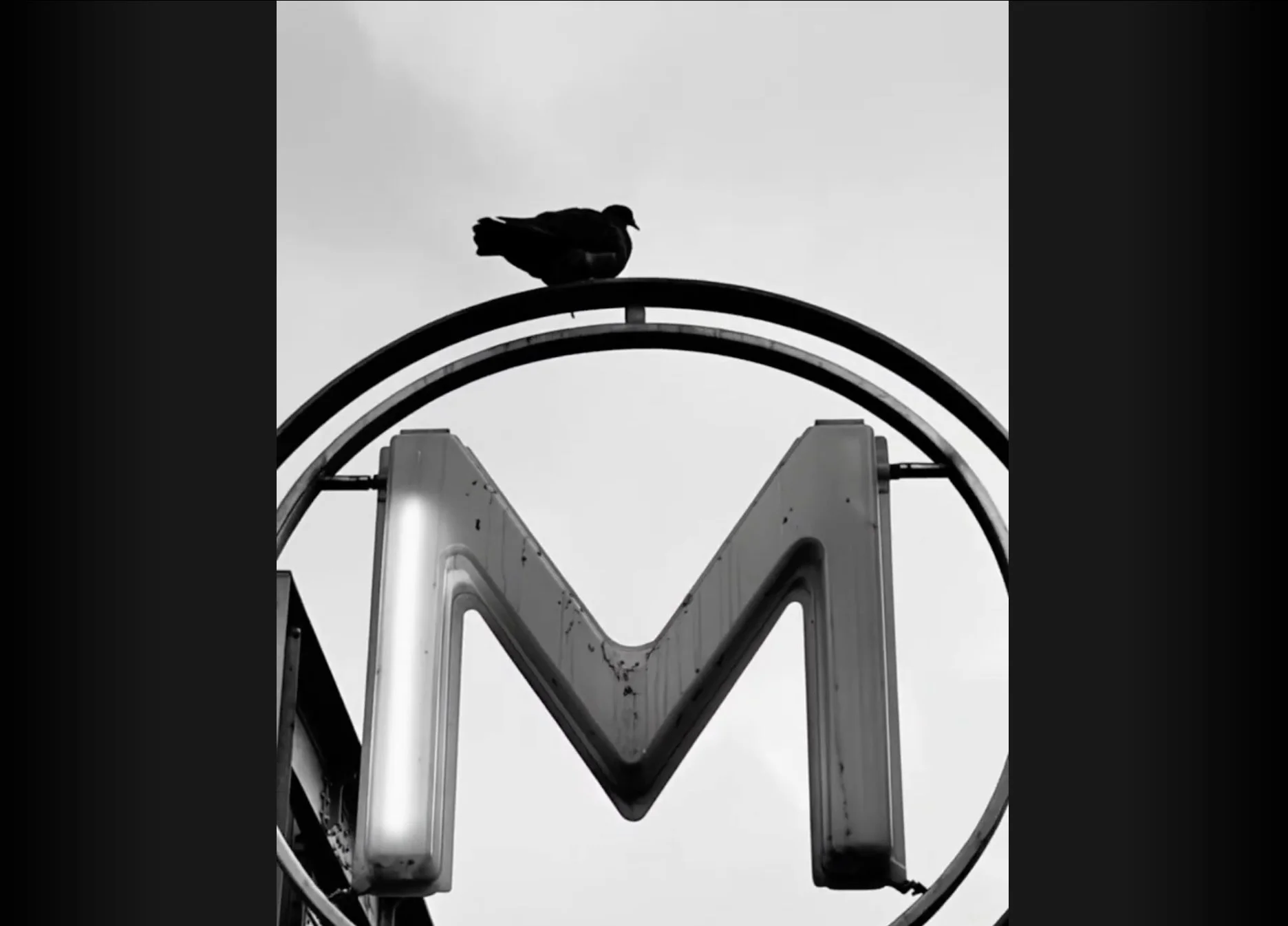 Vignette video FV An Example.jpg