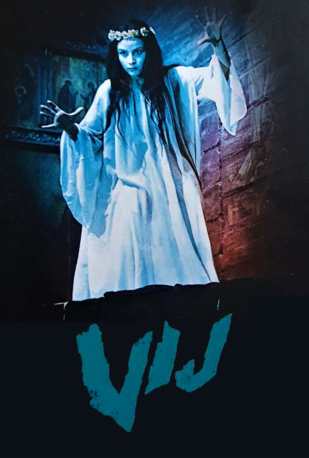 Vij_poster.jpg