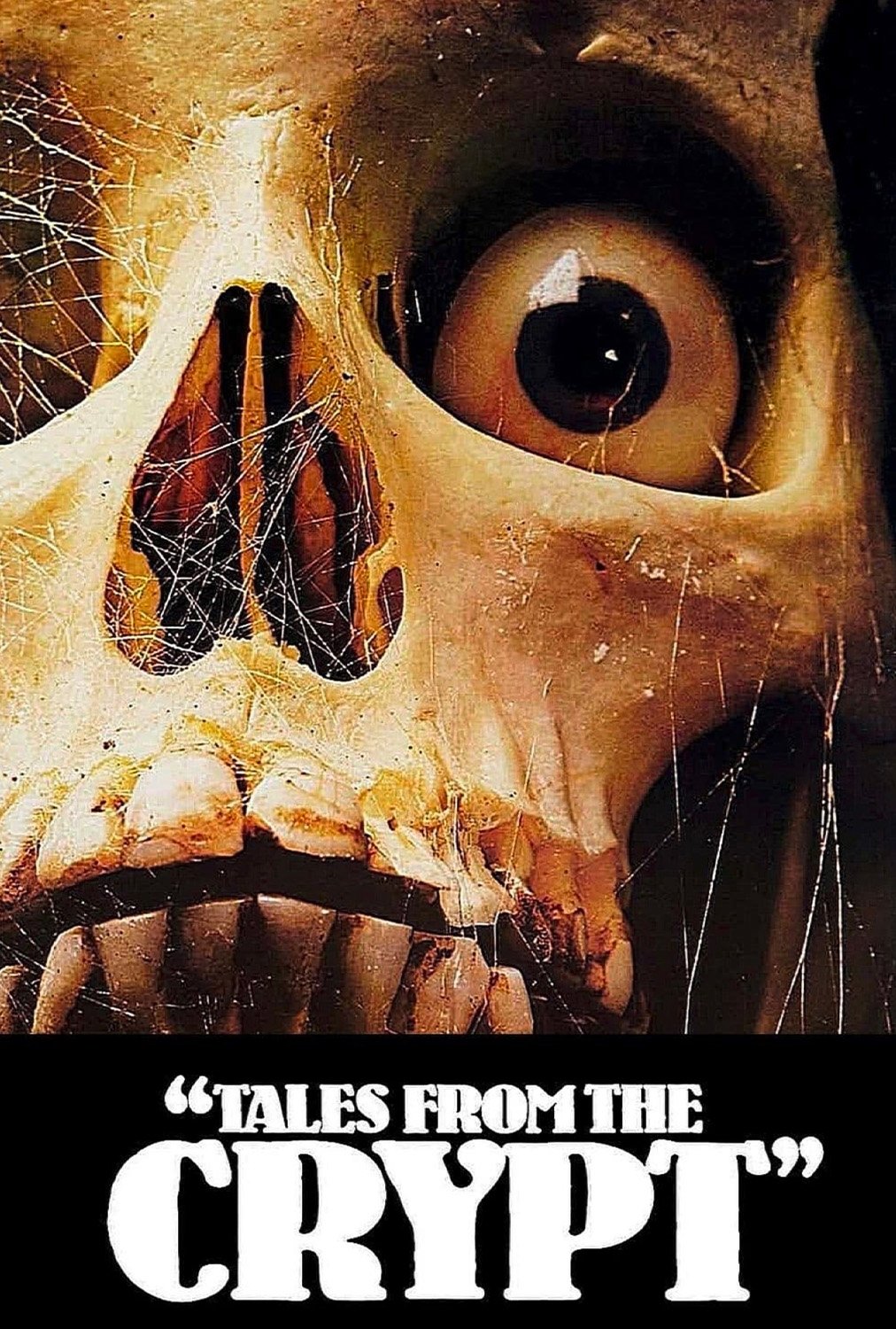 tales from the crypt