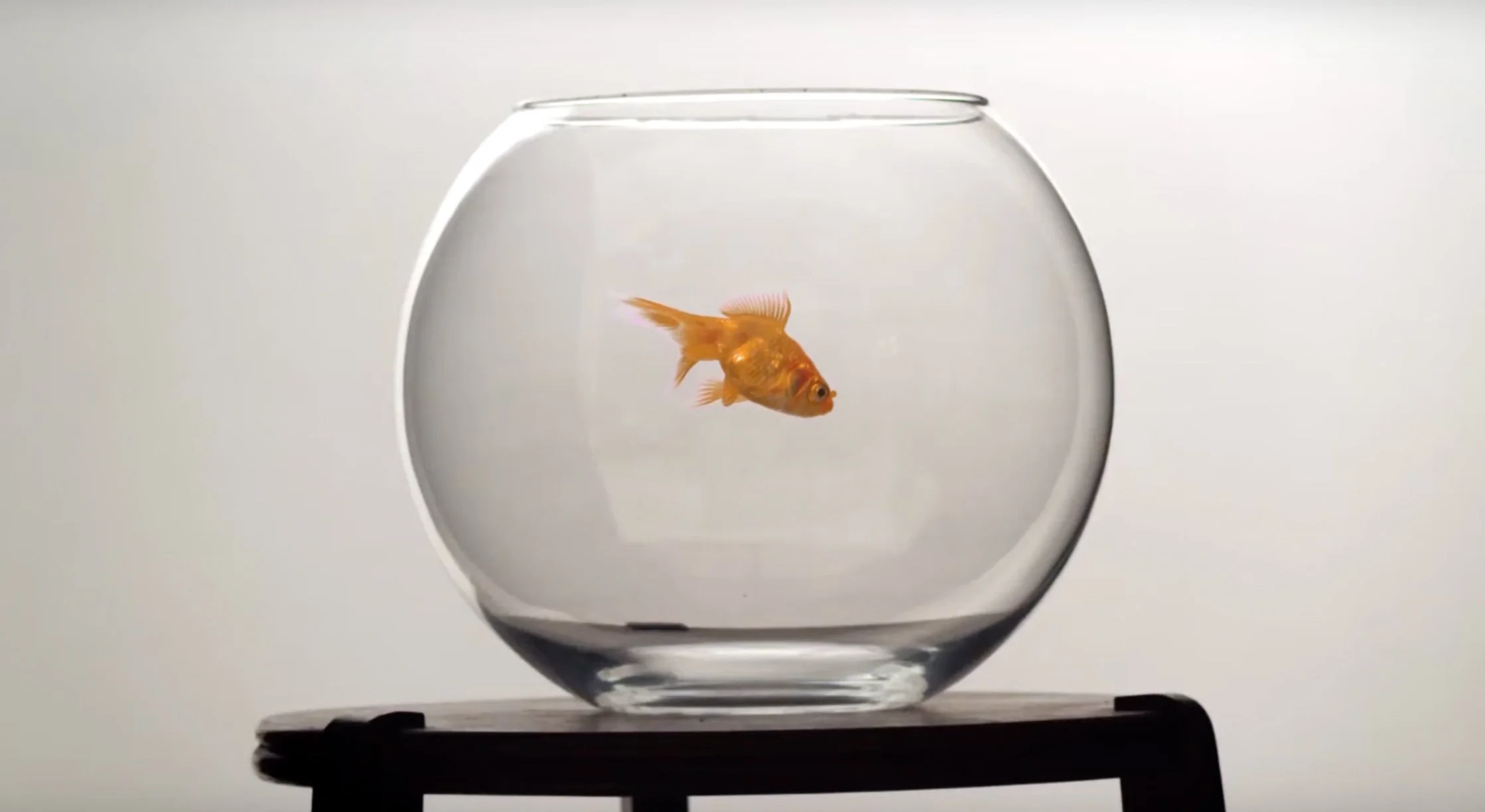 Dead Air • Bart &amp; Baker feat. Catherine D'Lish