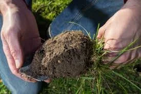 UK and USA happenings…