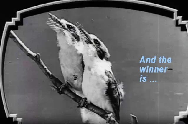 IEA Newsletter | February 2026