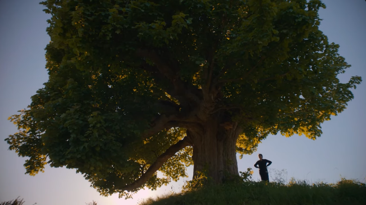 IEA Newsletter | March 2026