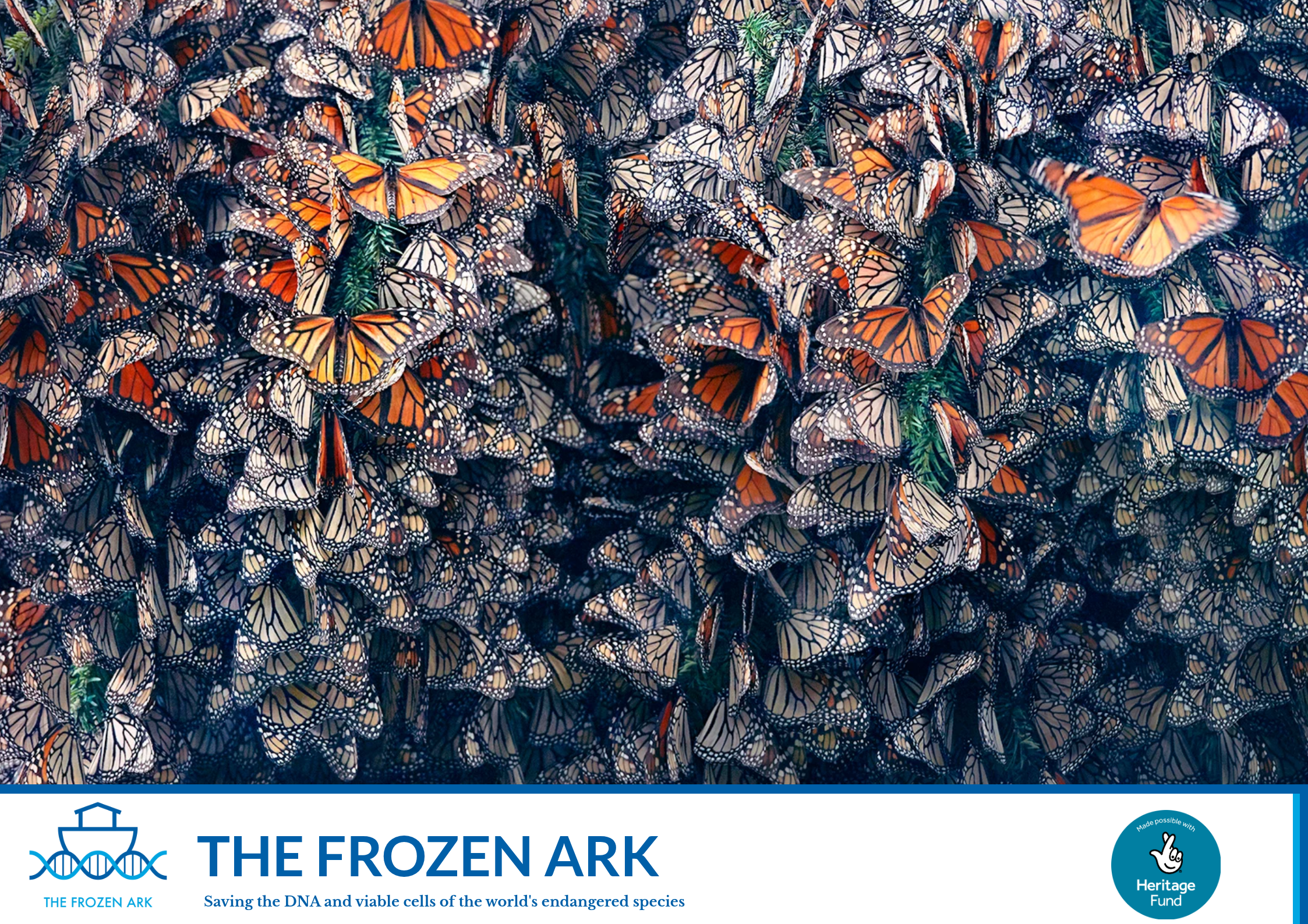 Cover of The Frozen Ark Business Plan