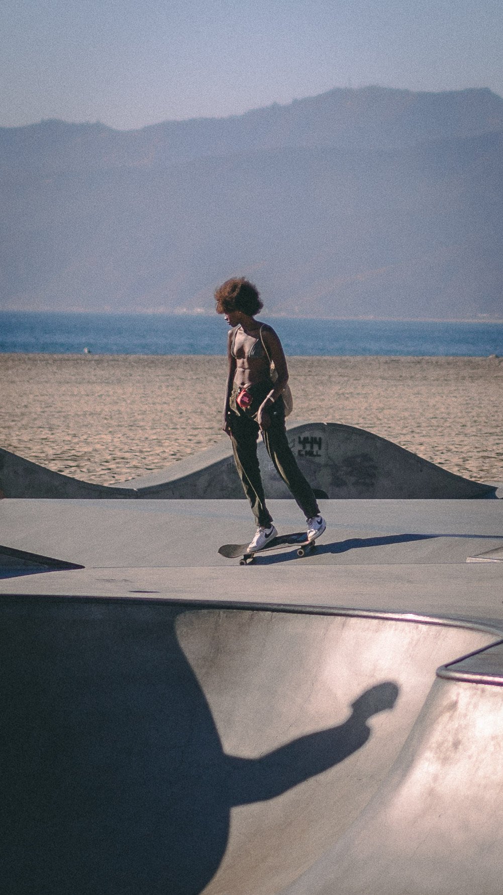 Skateboard Venice-2.jpg