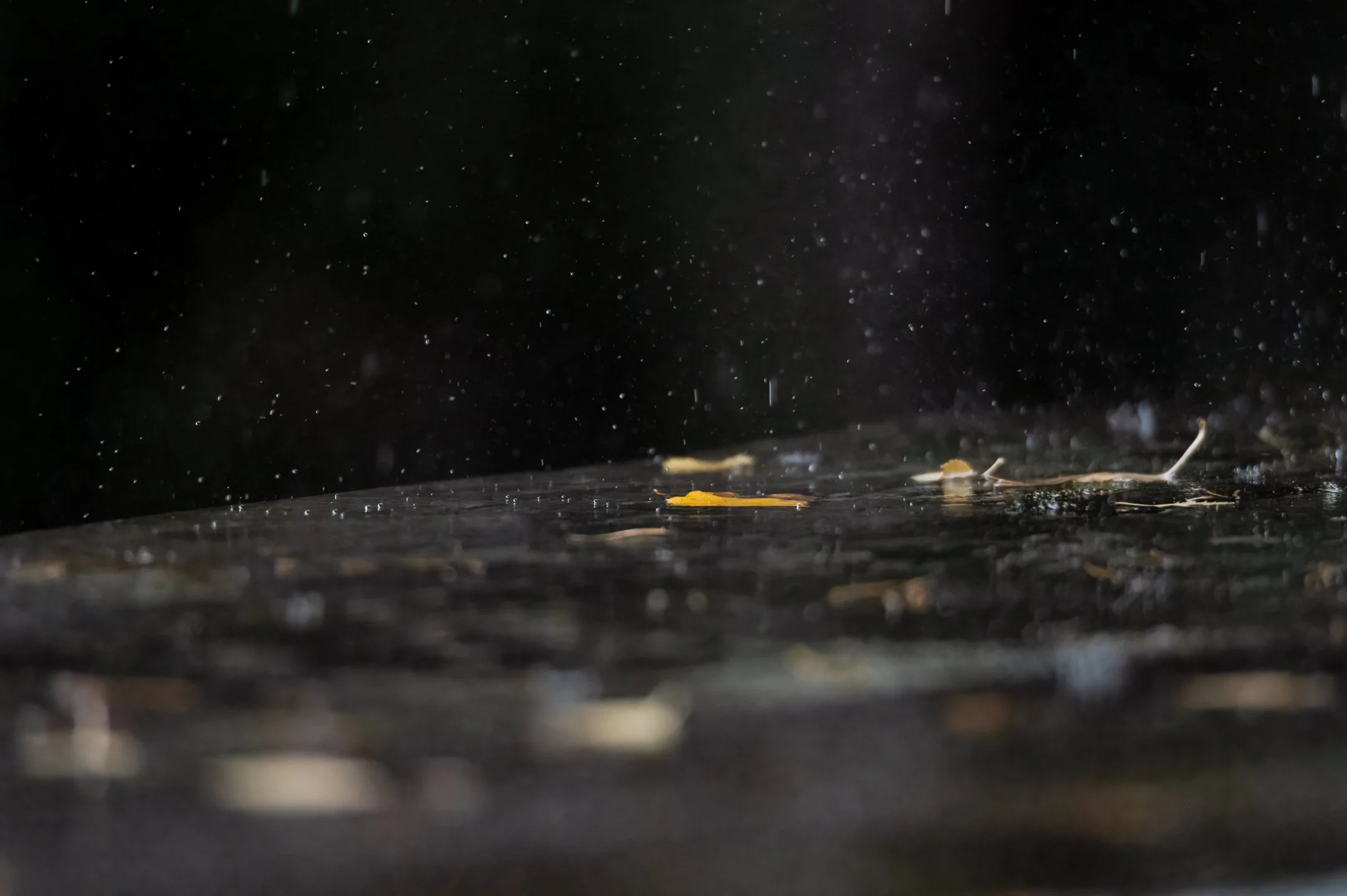 in the rainy season 9 (1 of 1).JPG