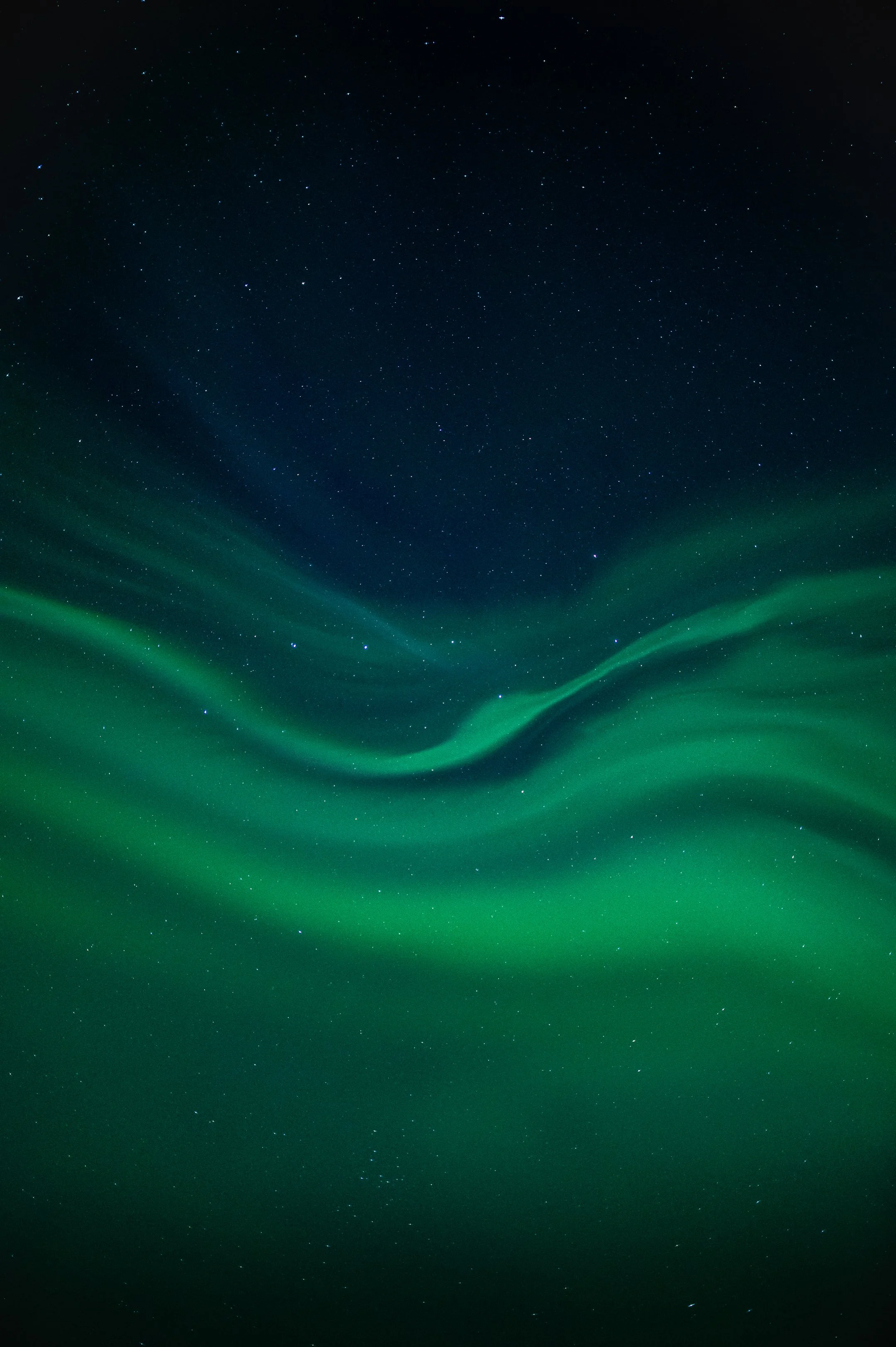 laitsei skailla 4-1.JPG