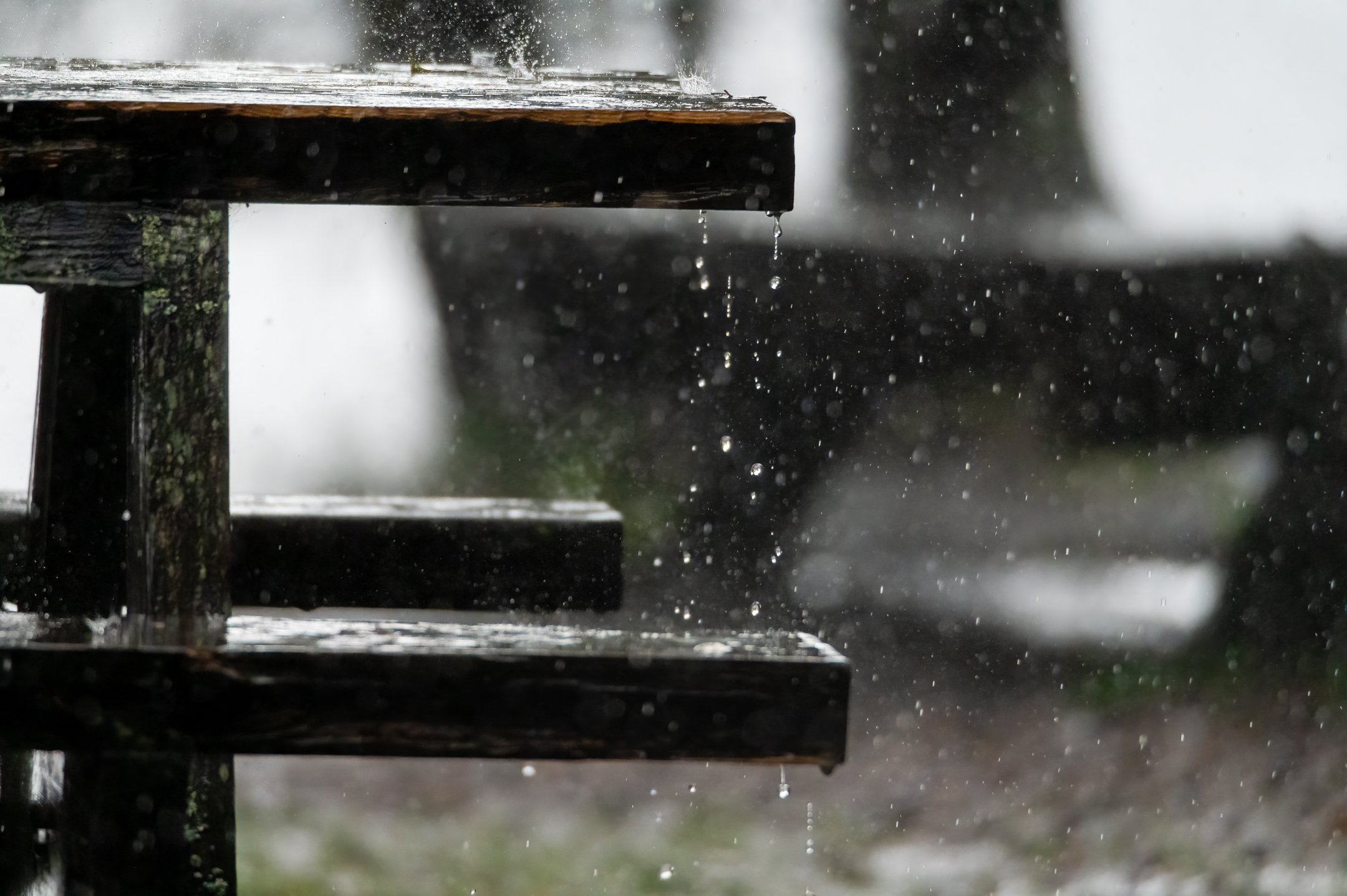 in the rainy season 8 (1 of 1).JPG