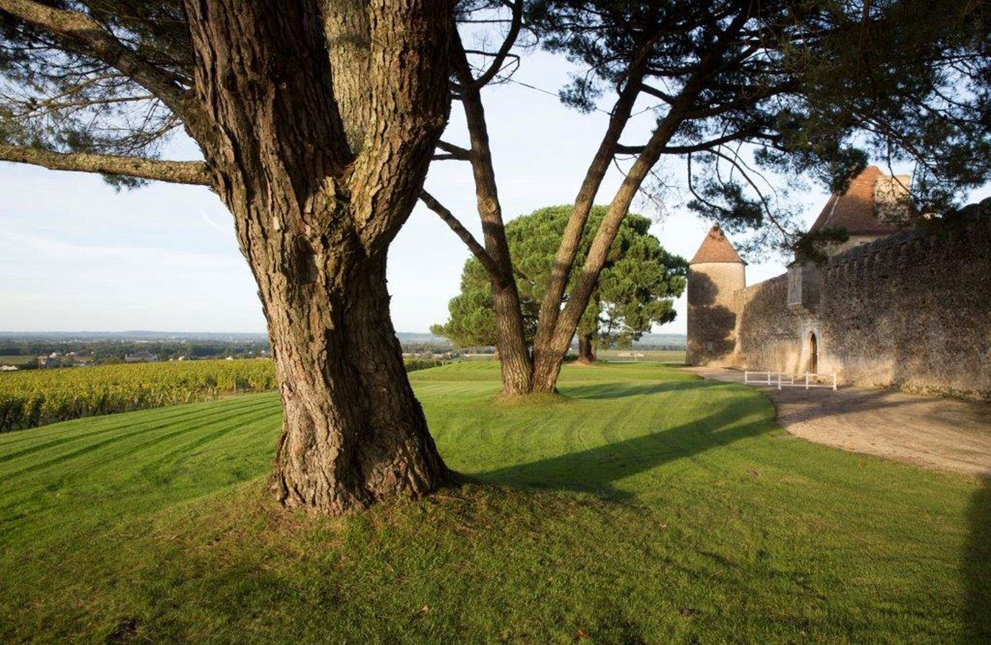 Château d’Yquem, Western facade. © Gérard Uferas