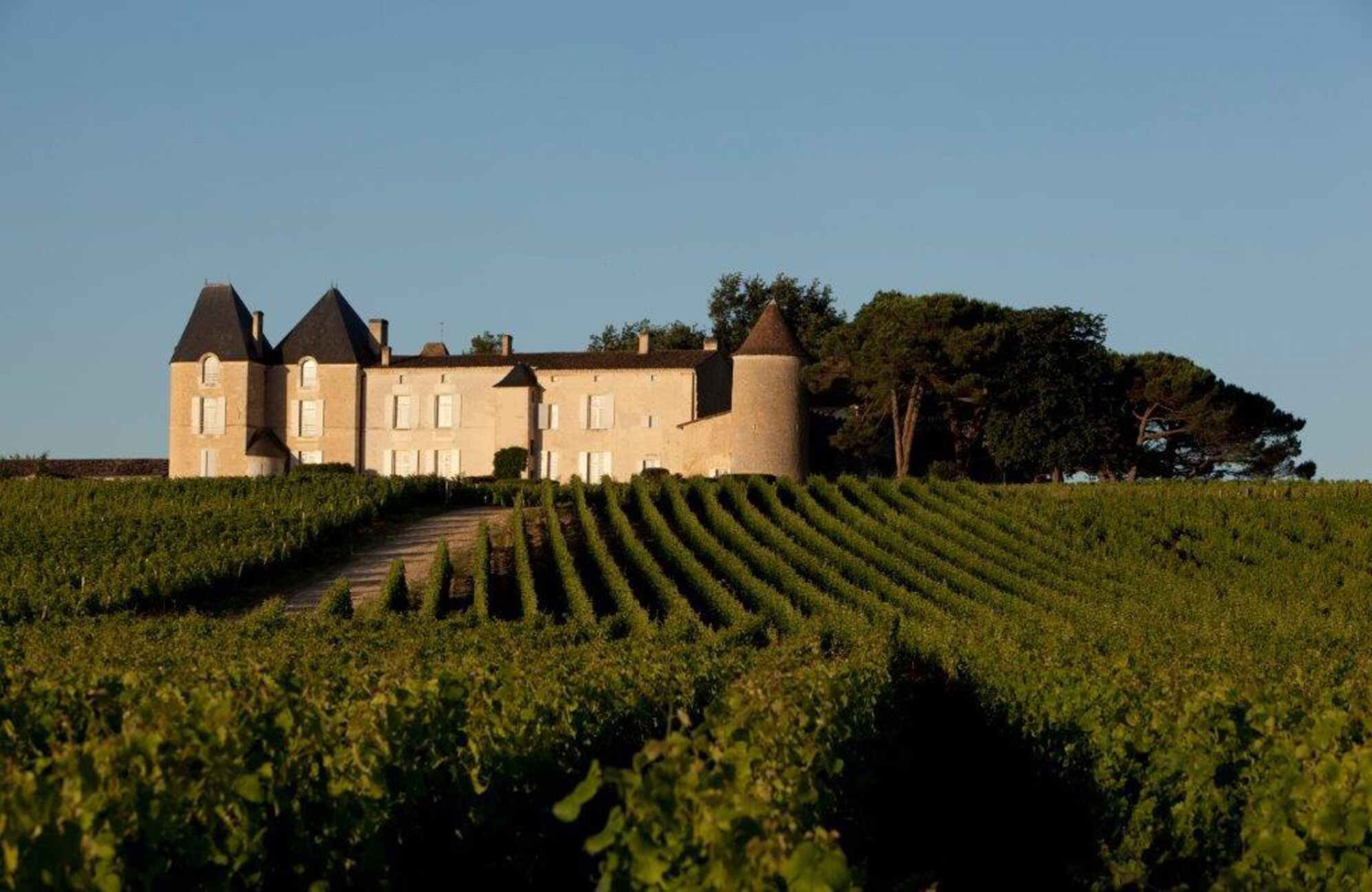 Château d’Yquem and its vineyard. © Gérard Uferas