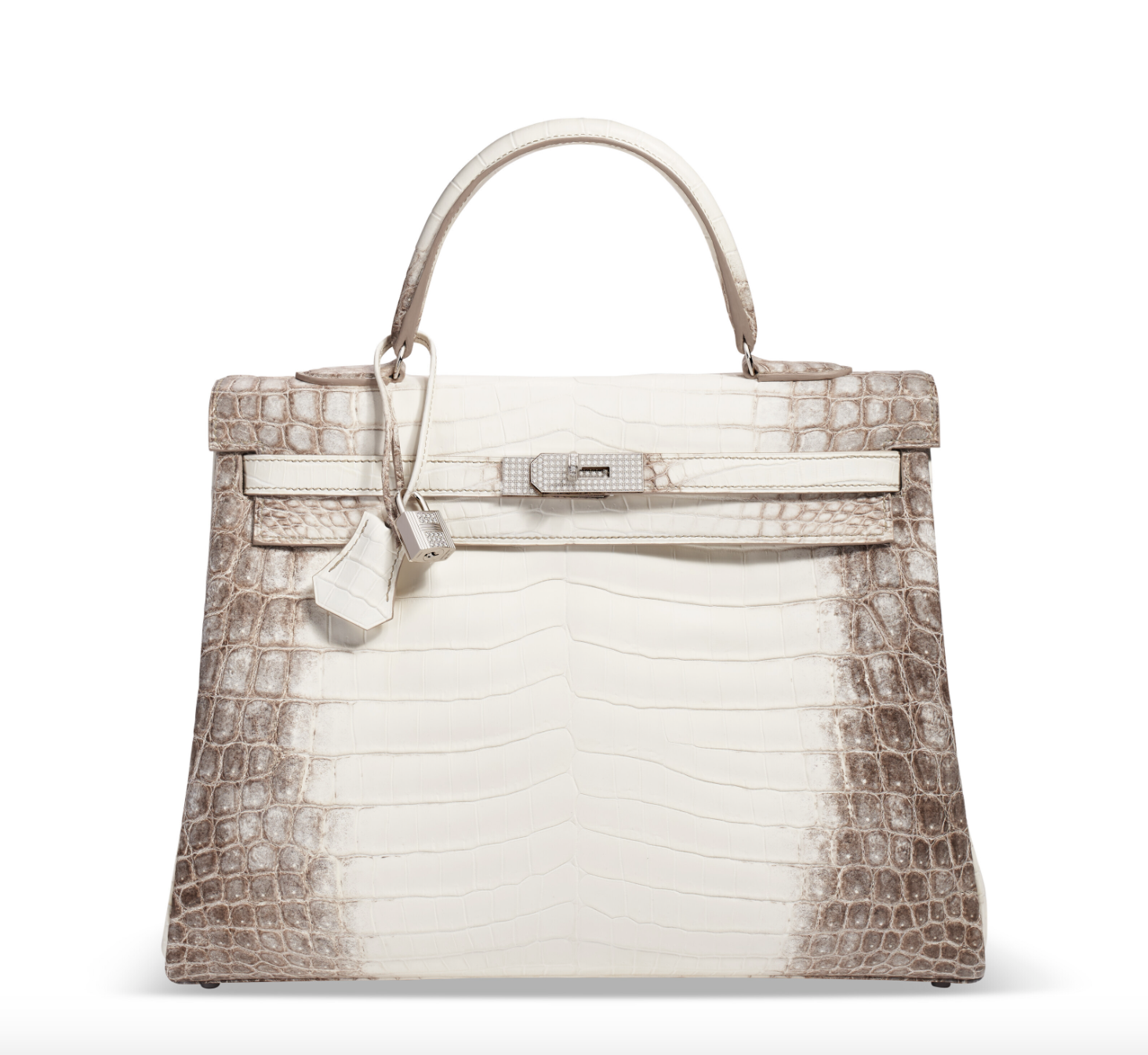 Hermès Birkin Bag Leather: A Definitive Guide, from Crocodile to Chevre