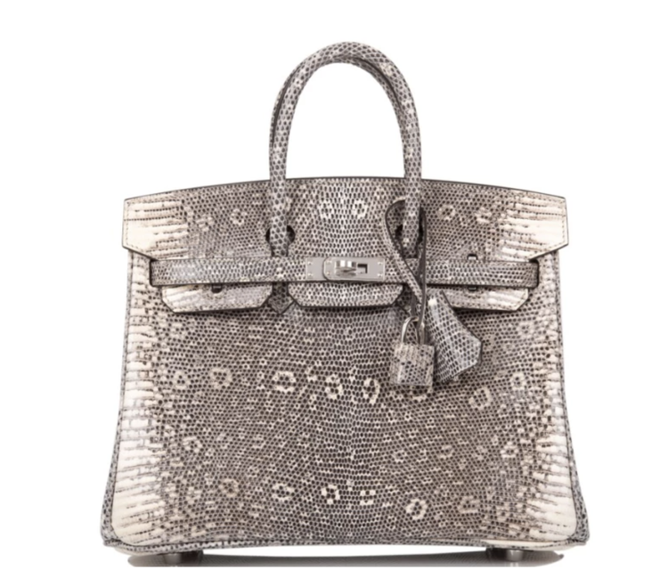 Sold at Auction: HERMES BIRKIN 25 IN OMBRE LIZARD WITH PALLADIUM HARDWARE
