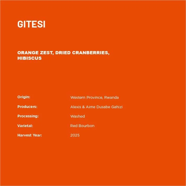 GitesiT-02.jpg