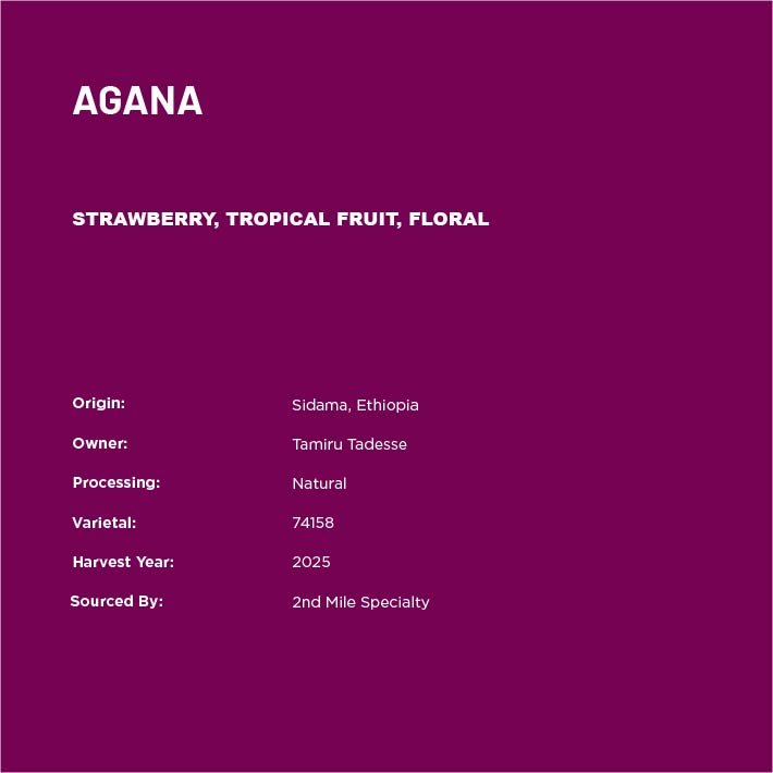 AganaText-02.jpg