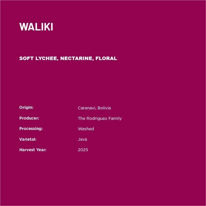 Waliki2-02.jpg