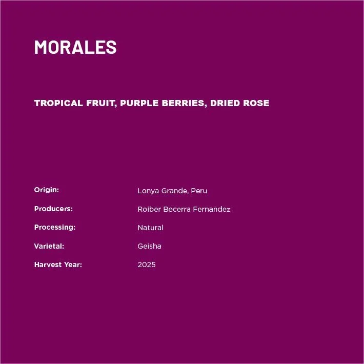 Morales2-02.jpg