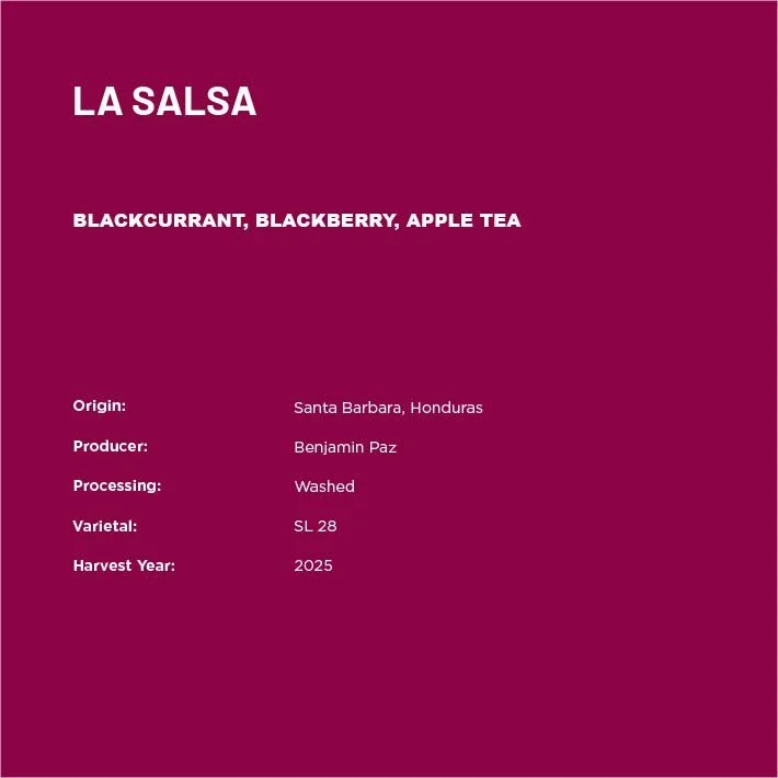 LaSalsa2-02.jpg