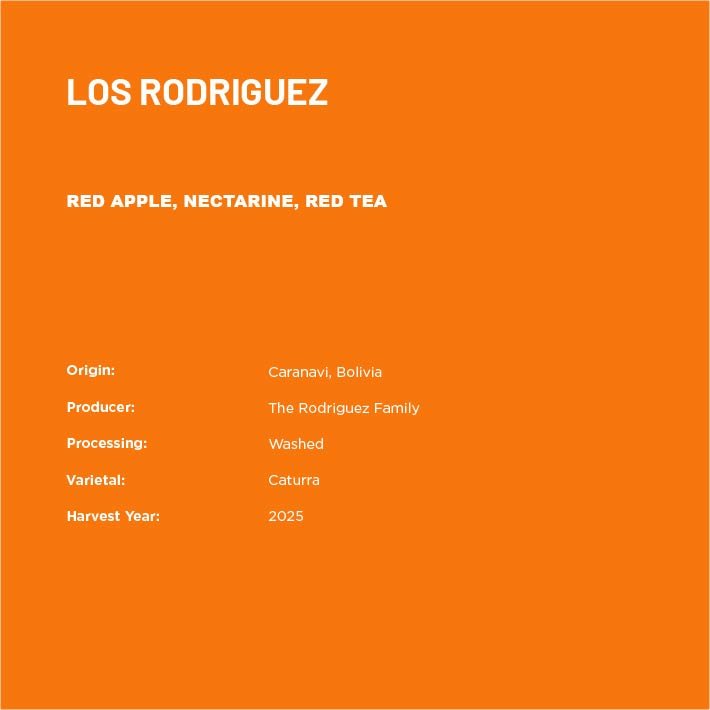 LR2-02.jpg