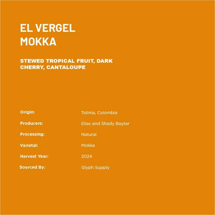Mokka2-02.jpg