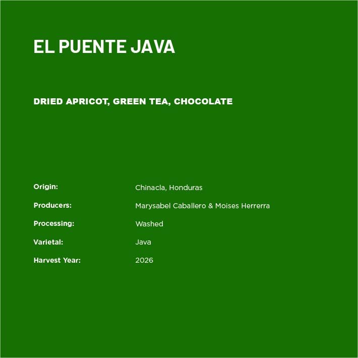 EPJava2-02.jpg