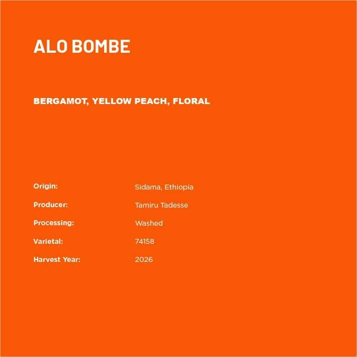 AloBombe2-02.jpg