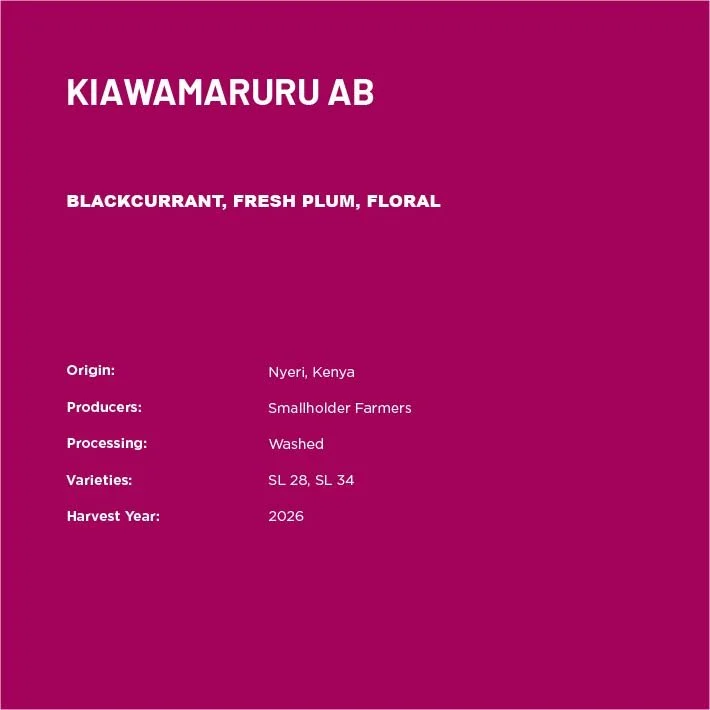 KiaW2-02.jpg