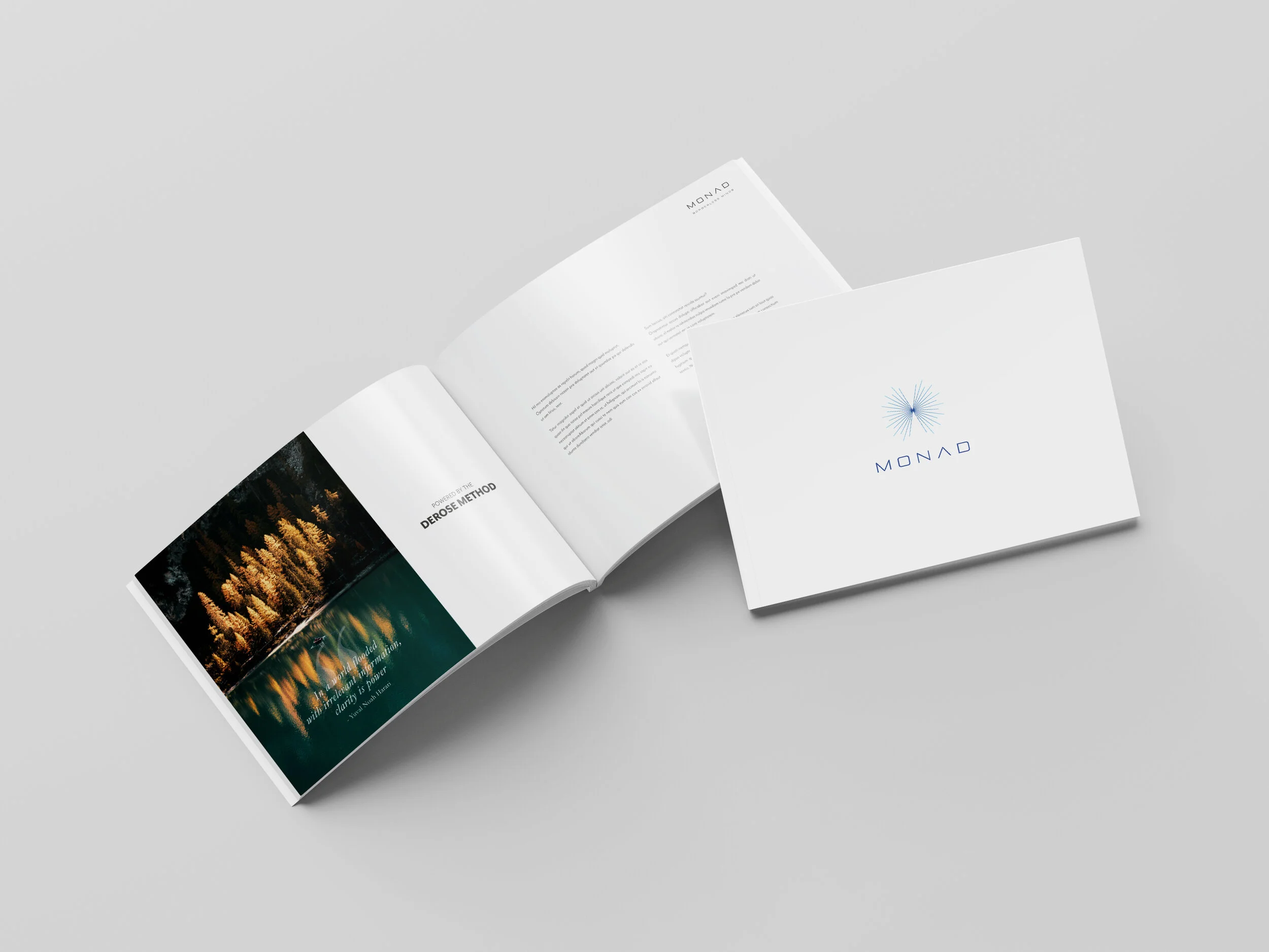 Monad_Brochure_Mockup_1.jpg