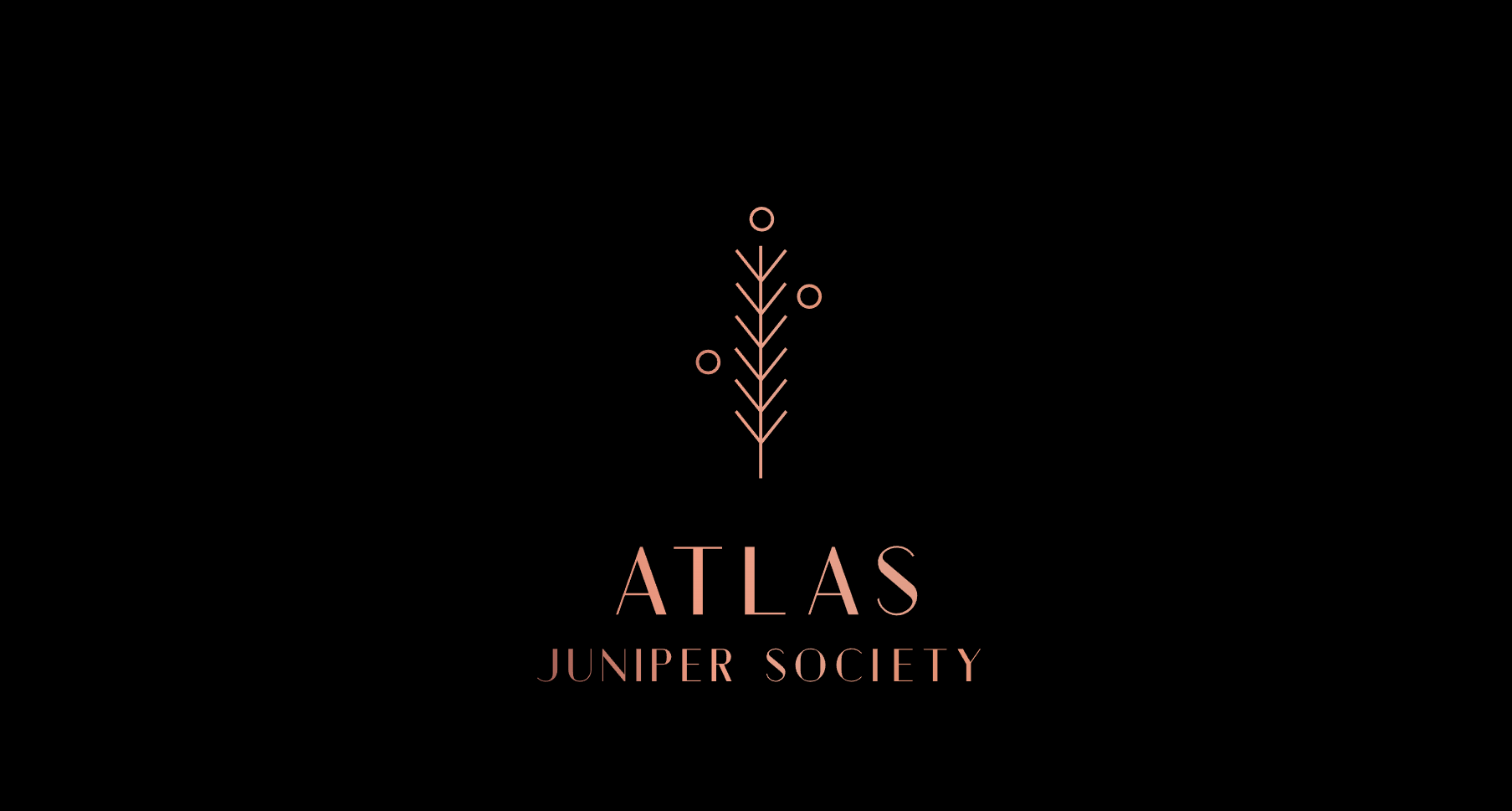 Screenshot 2024-06-10 at 16.48.51.png