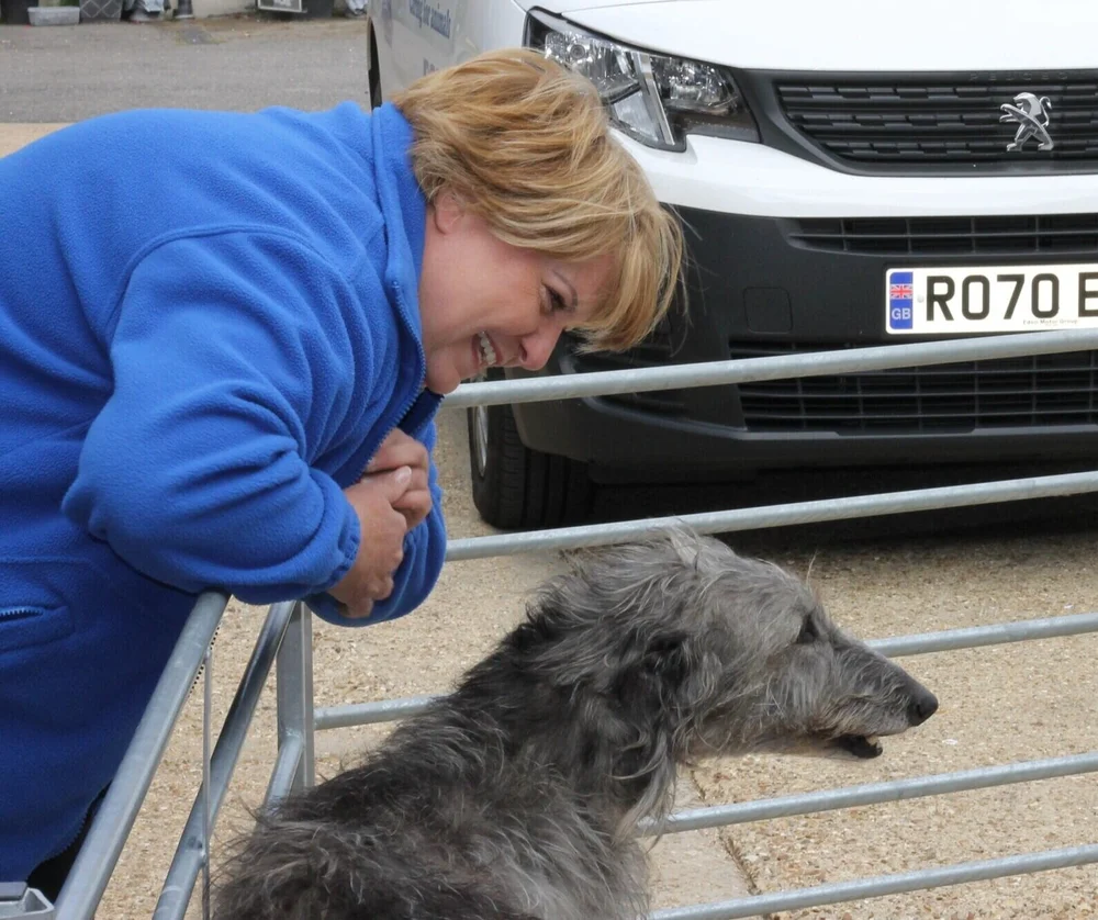 Home — Diana Brimblecombe Animal Rescue Centre