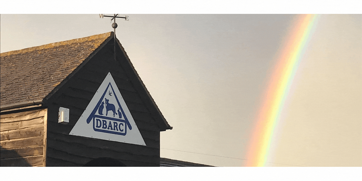 Diana brimblecombe rescue center 2025