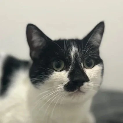 OLIVER