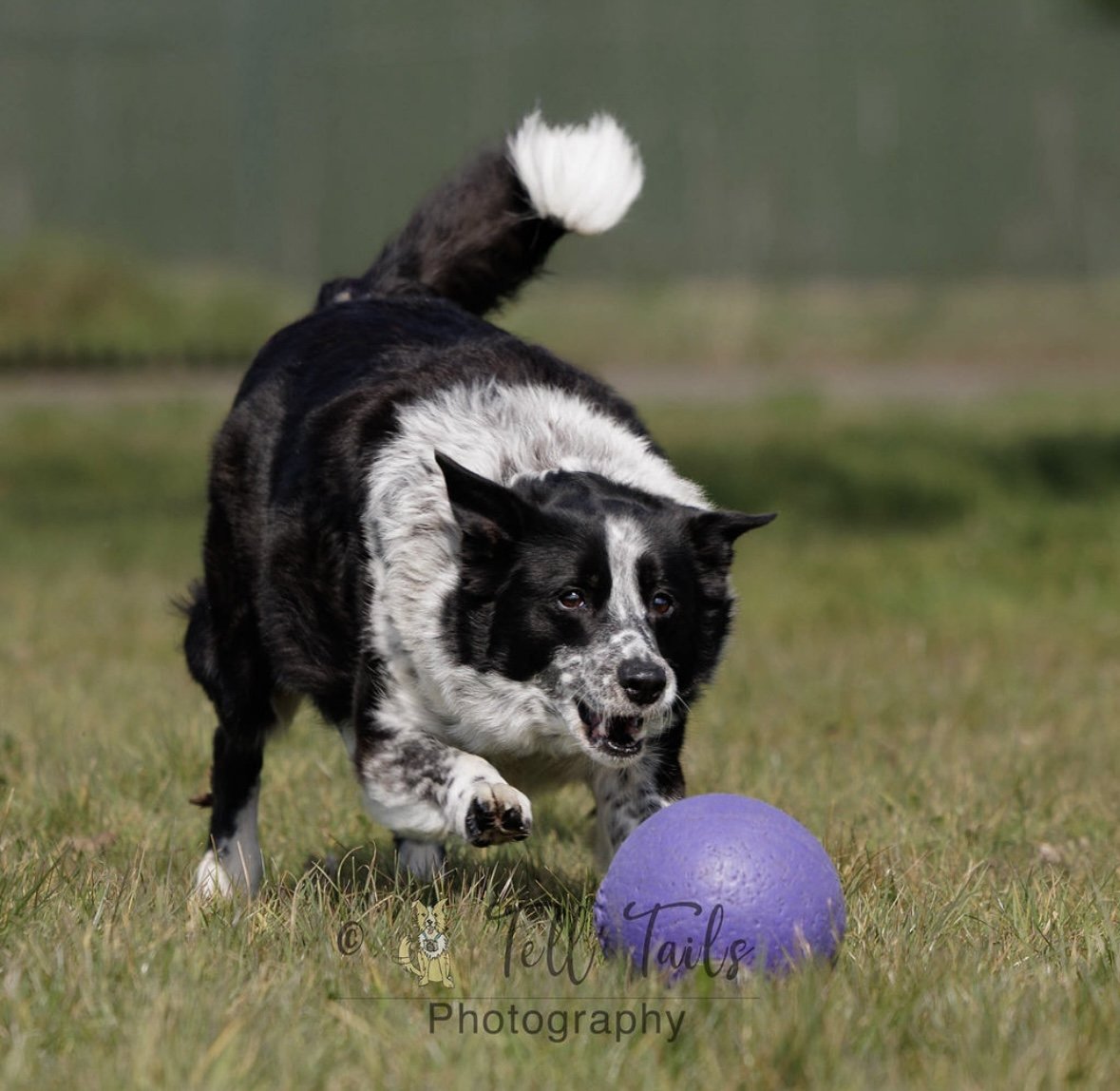 IMG_6137.jpeg
