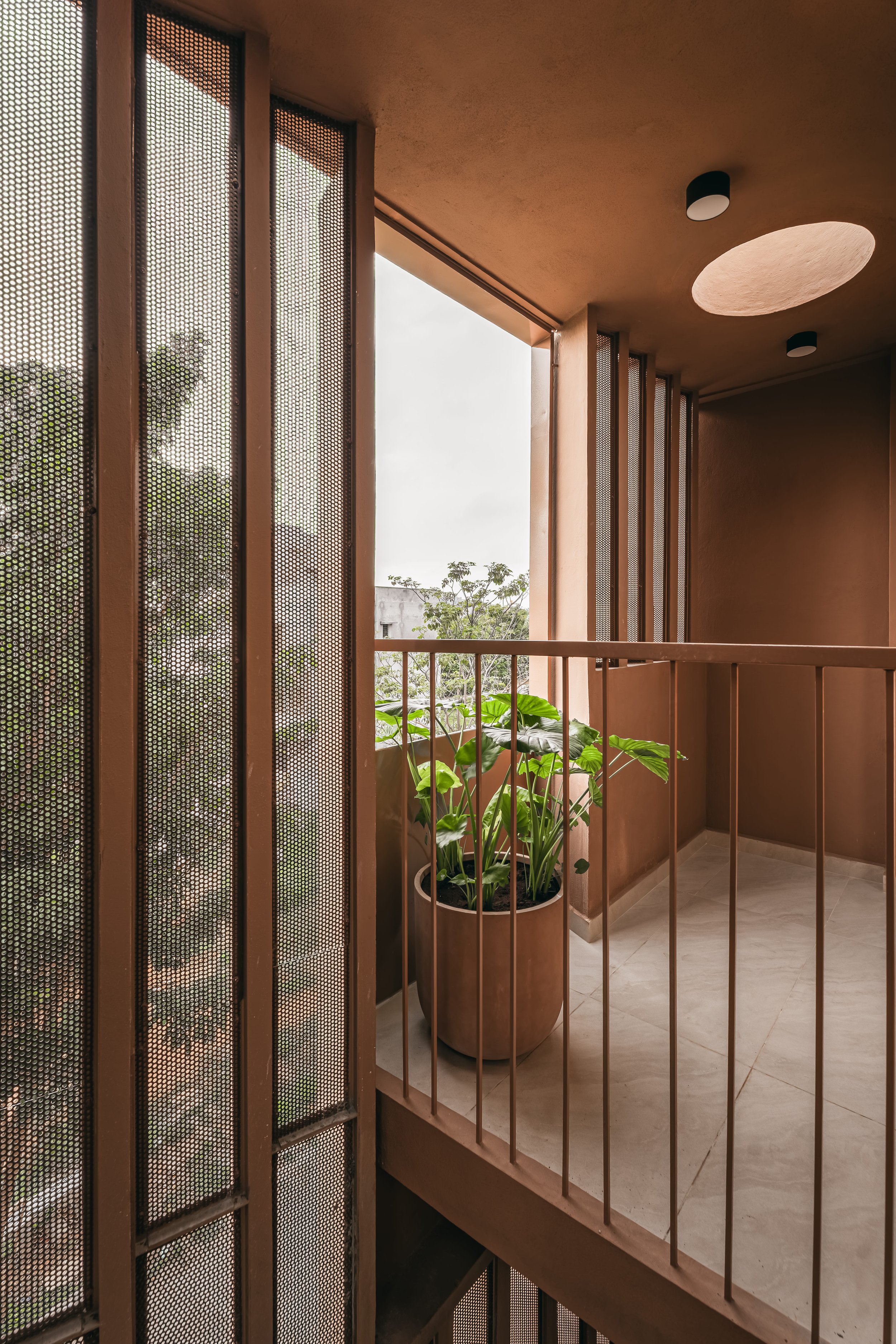 Balcony corner with a plant and the skylight above