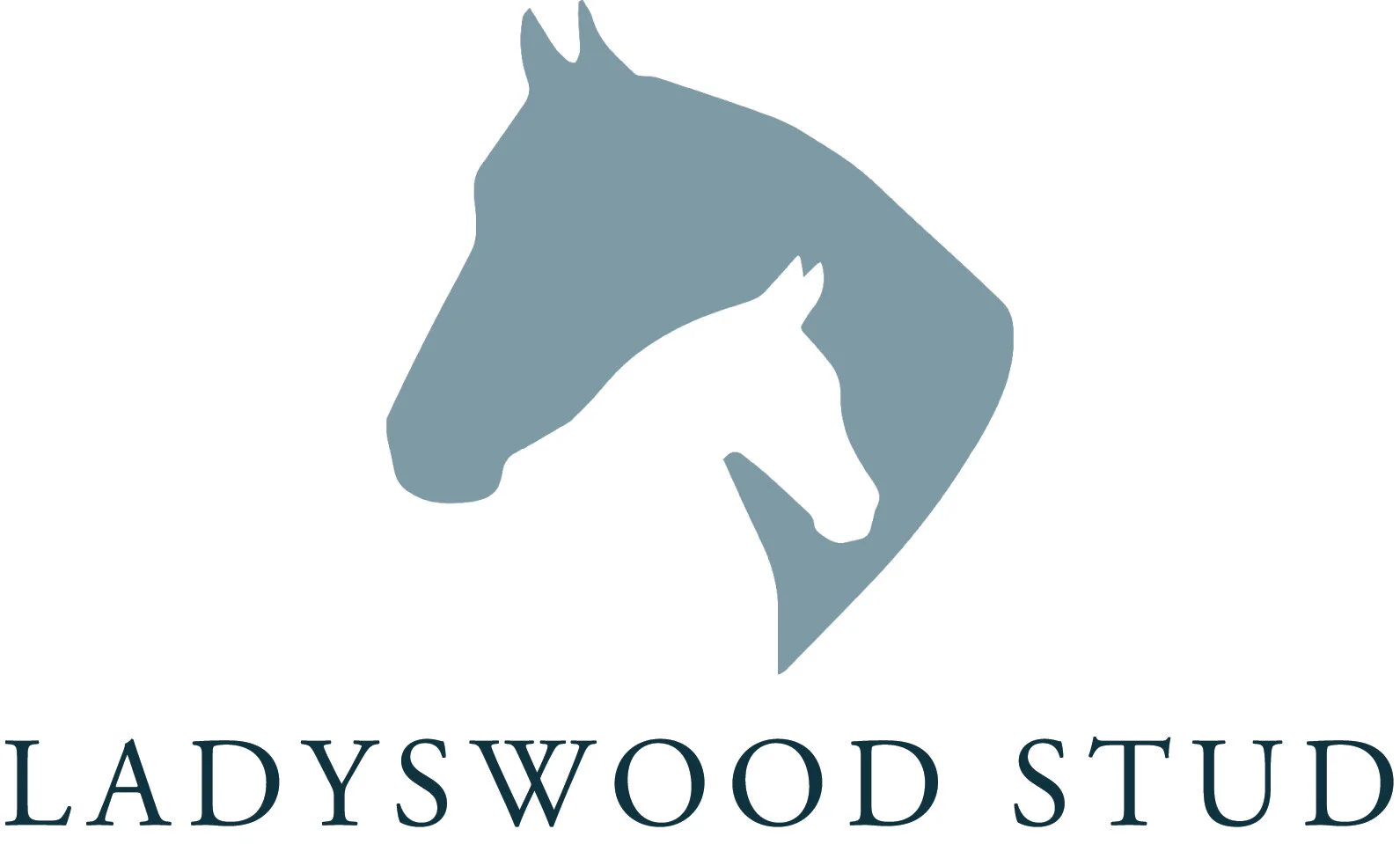 Logo design and branding