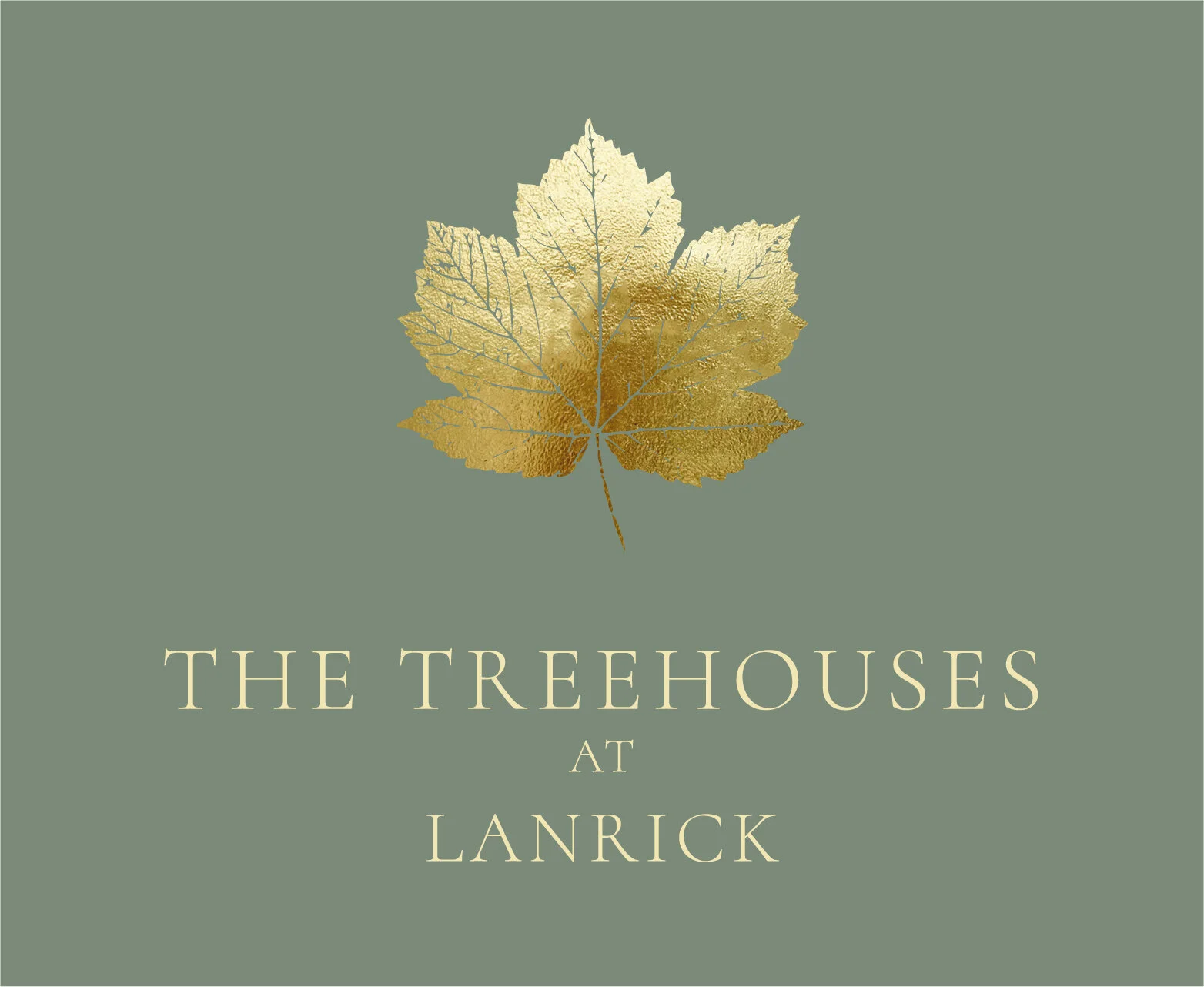 Logo design and branding