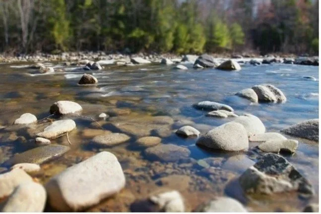 What is Your Next Next in 2025?