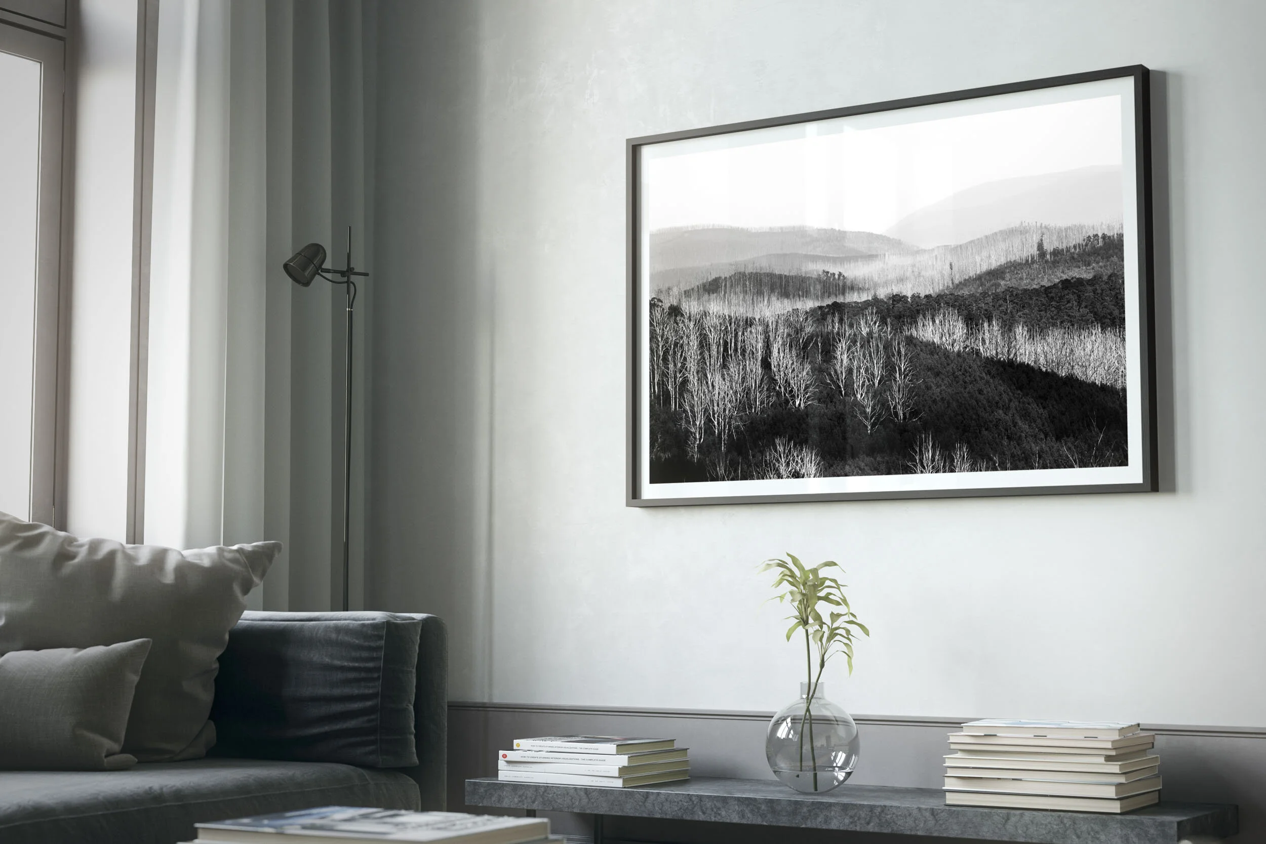 LightAshWhite-04-Snowy-Creek-Victoria-2018-R2-web.jpg