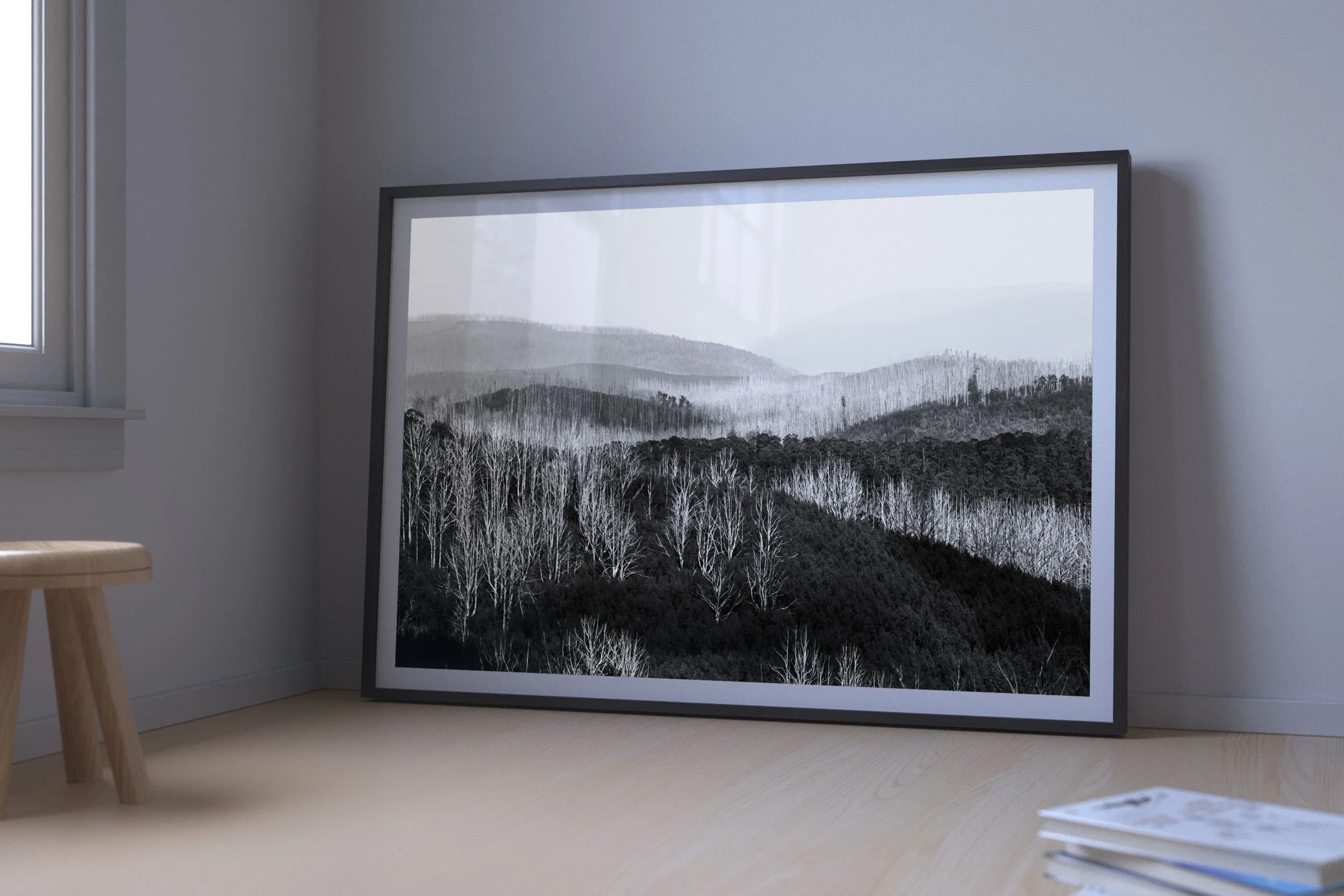 LightAshWhite-04-Snowy-Creek-Victoria-2018-R1-web.jpg