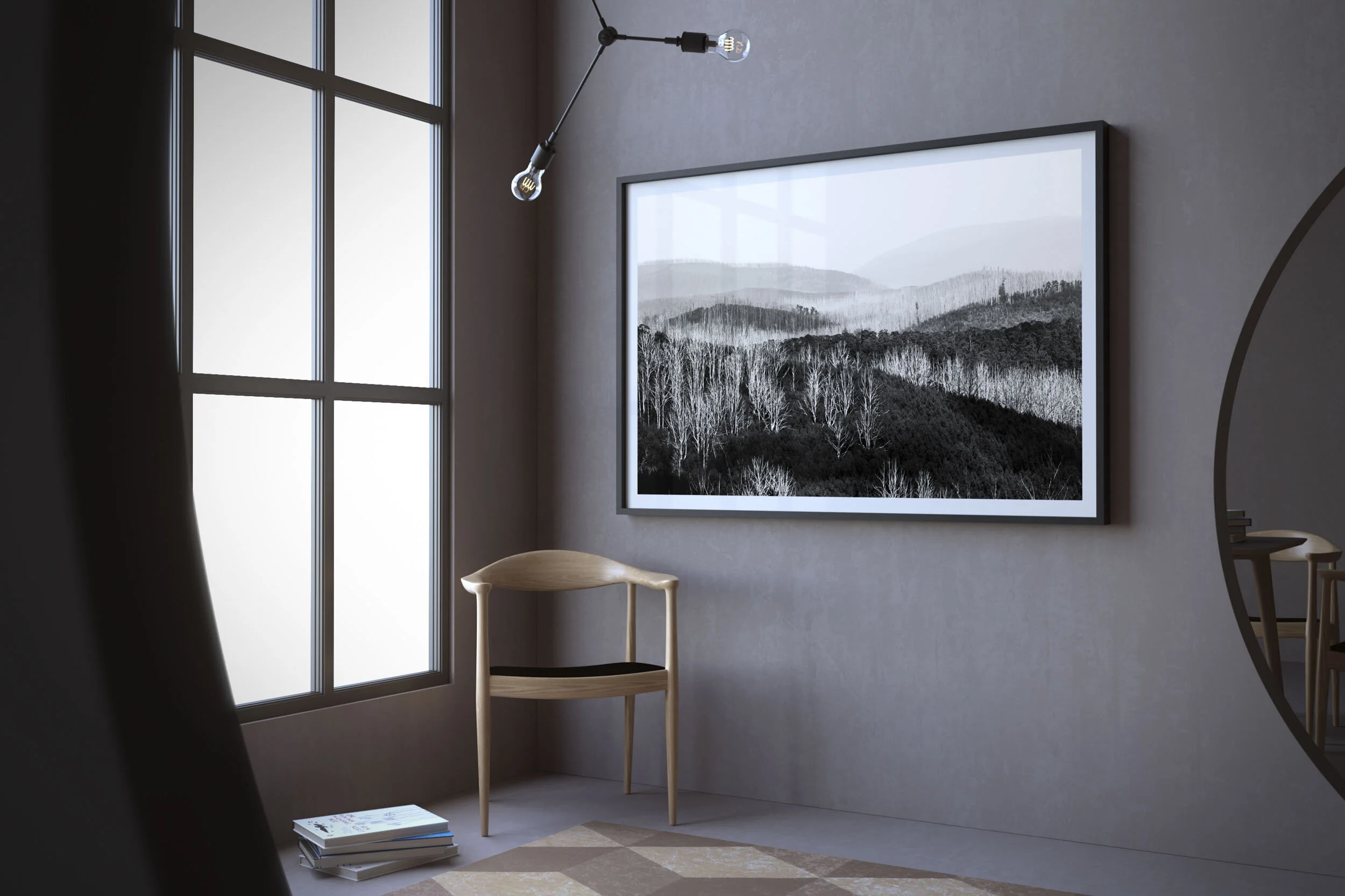 LightAshWhite-04-Snowy-Creek-Victoria-2018-R3-web.jpg