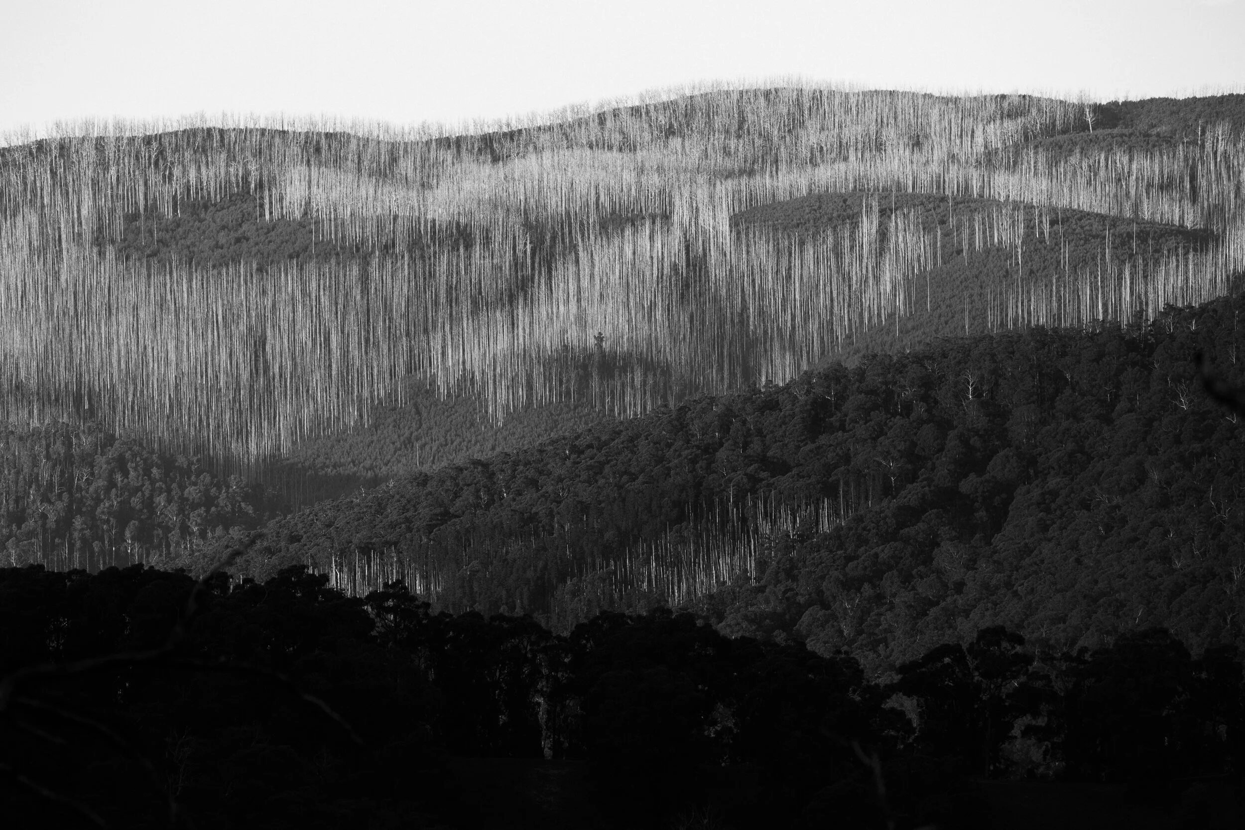 07-Light-Ash-White-Keppel-Ridge-web.jpg