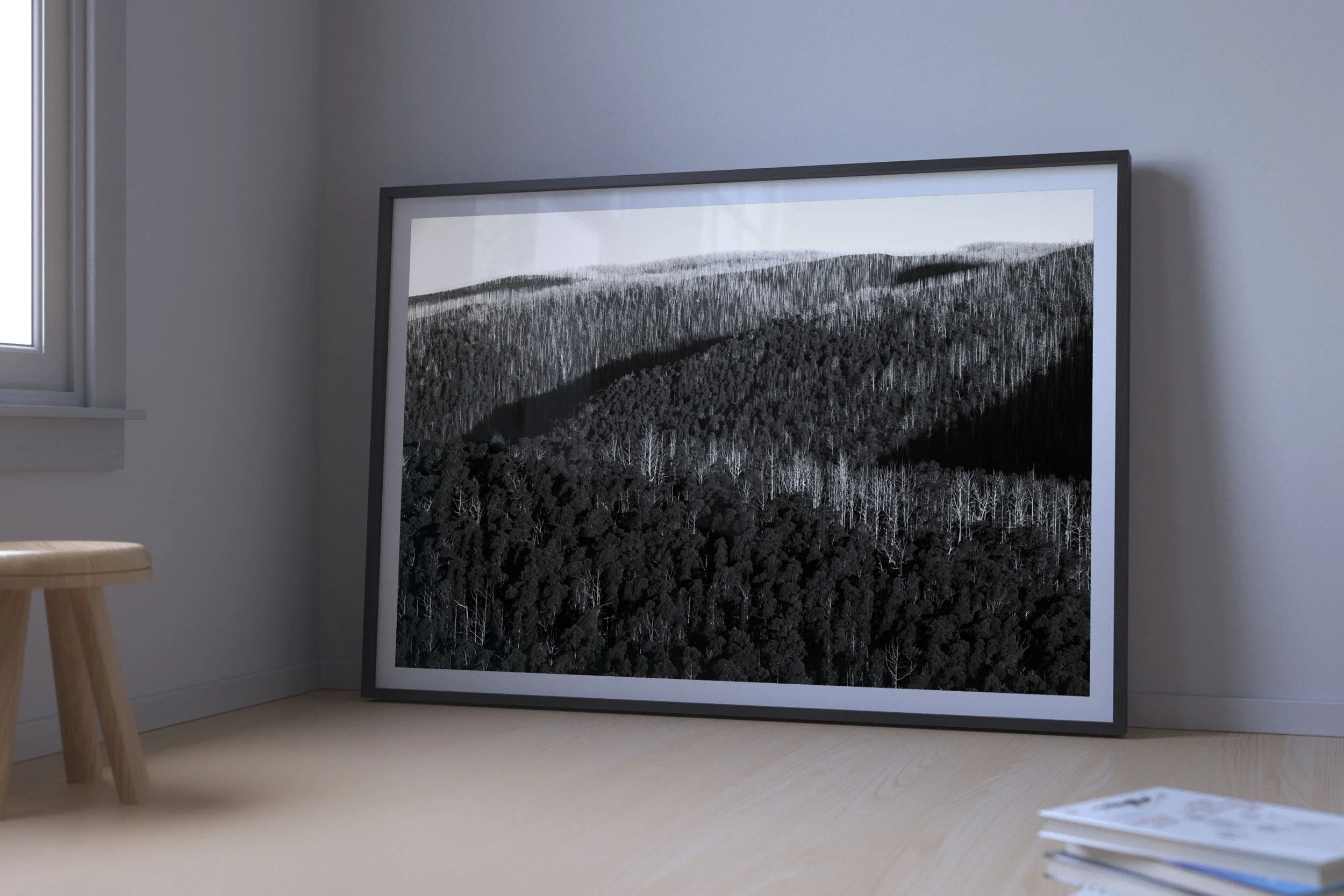 LightAshWhite-08-Tweed Spur-Road-Victoria-2018-R1-web.jpg