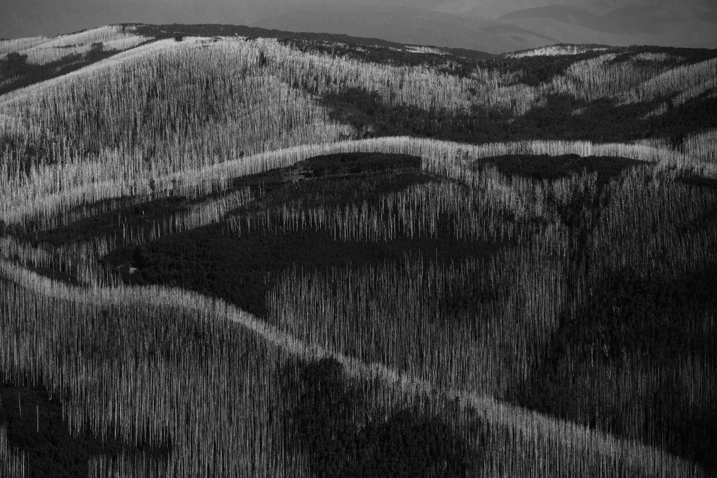 12-Light-Ash-White-Road-8-web.jpg
