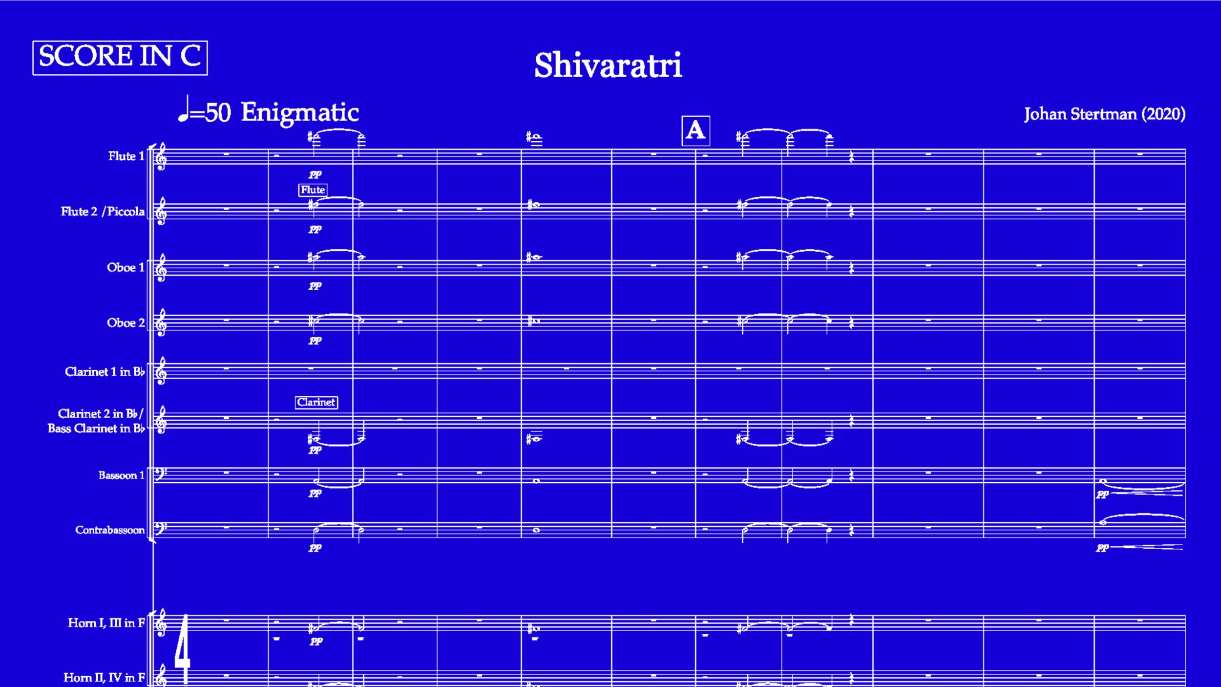 Shivaratri - Johan Stertman - Close up - Helsingborgs Symfoniorkester.jpg