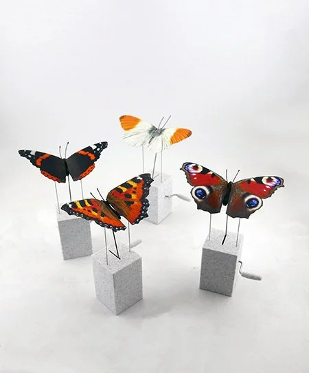 4 butterflies.jpg