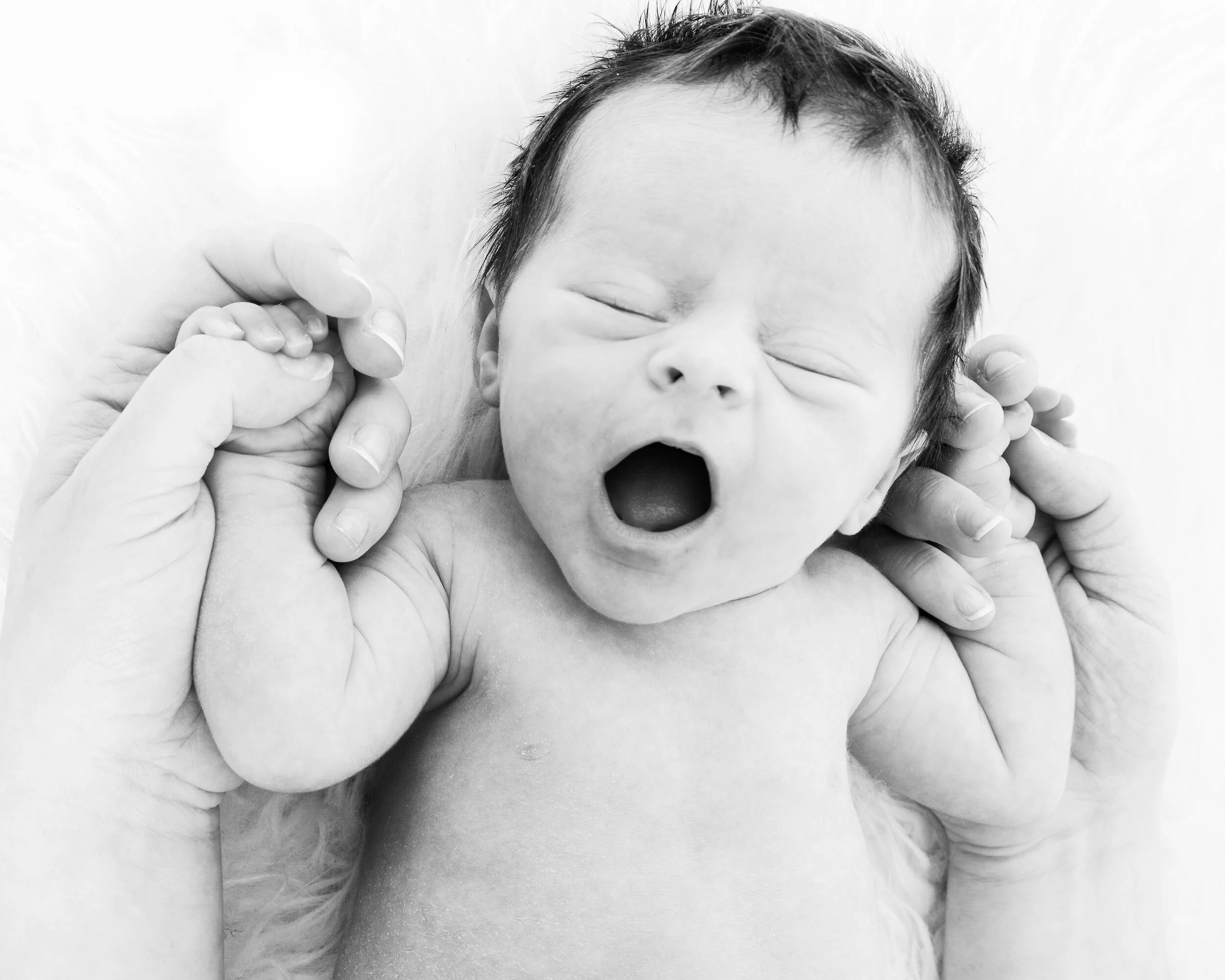 Newborn Photoshoot