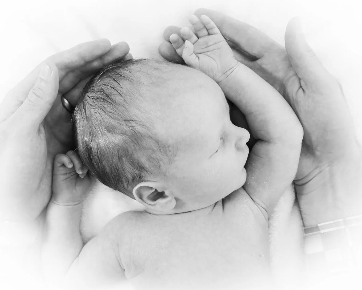 new born 10.jpg