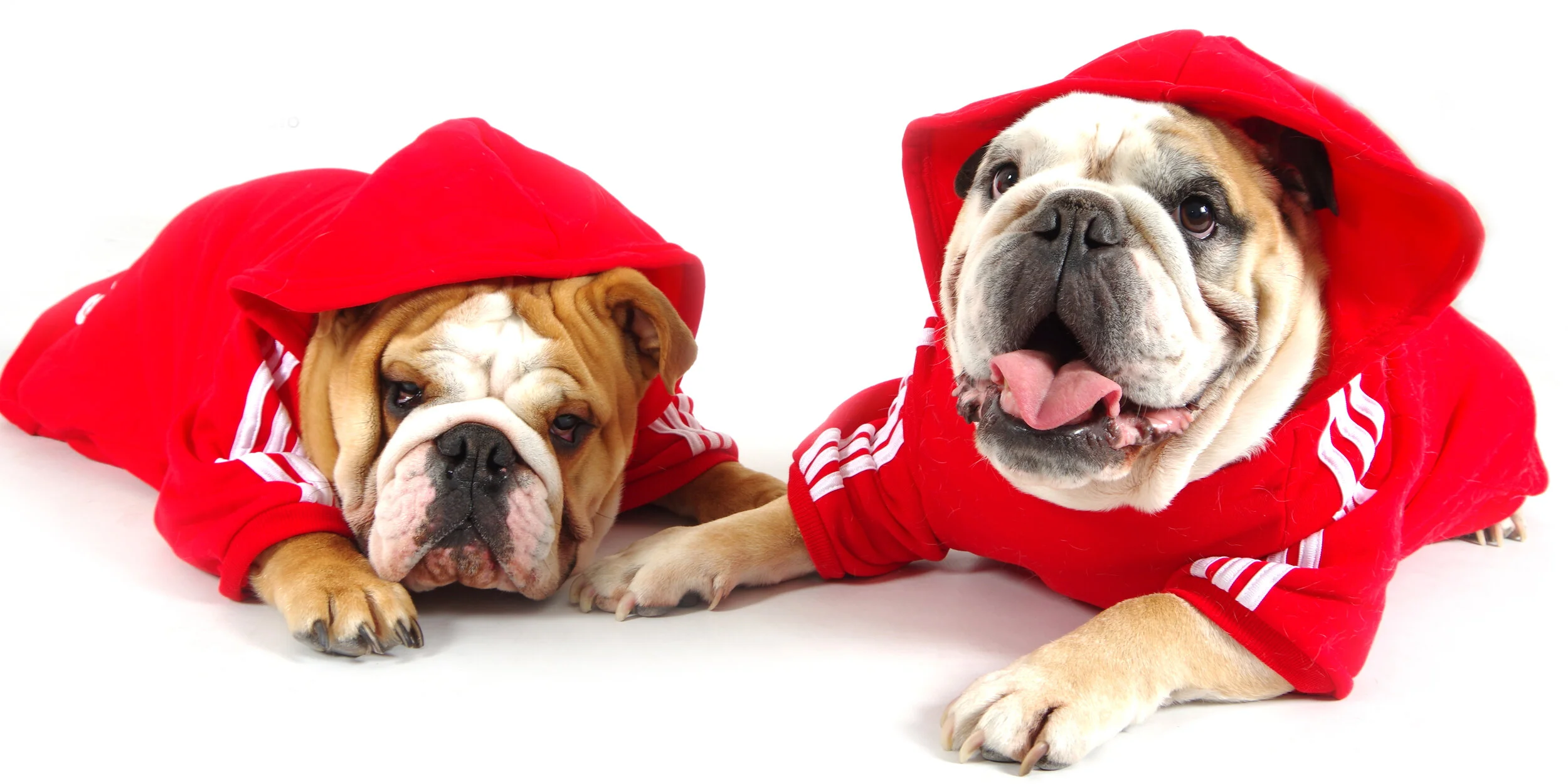 Balance Family Photography Cardiff