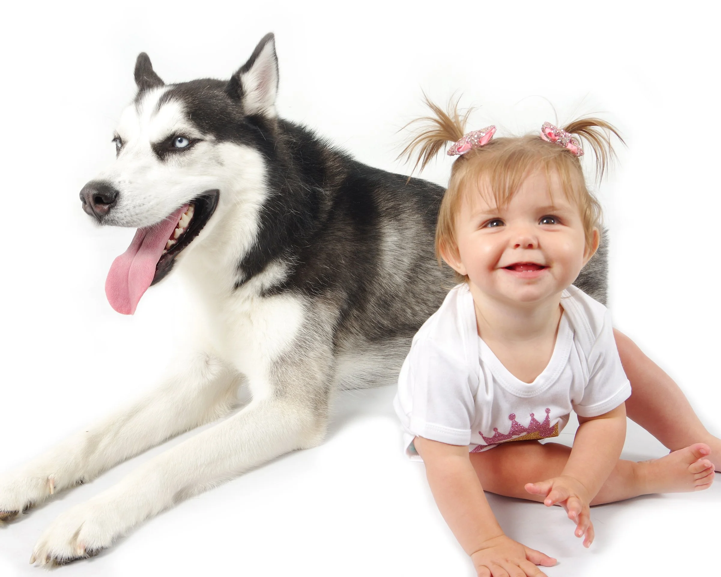 family and pet photo shoot dog photoshoot studio Cardiff.jpg