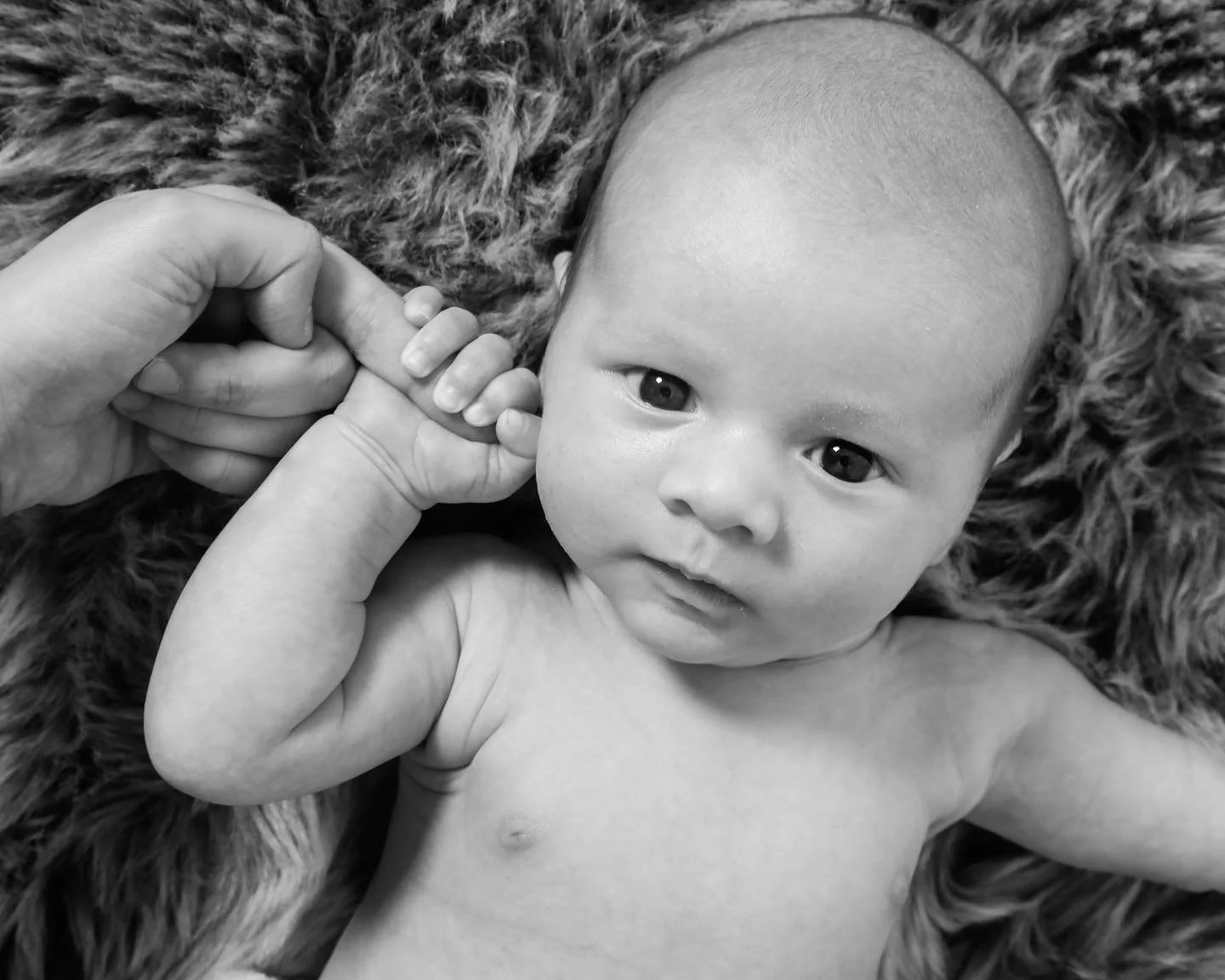 new born newborn photo shoot photoshoot portrait Balance Photography Studio Cardiff.jpg